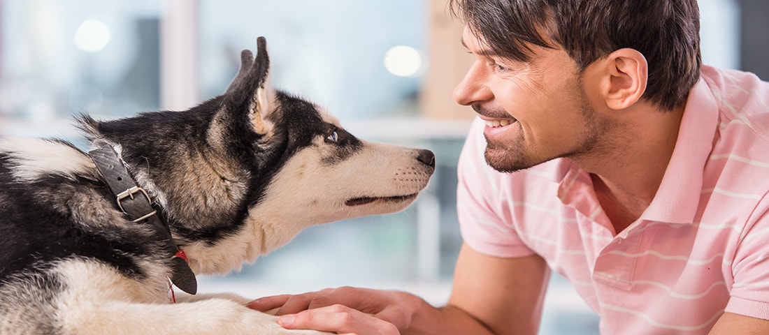 Unsere Produktwelt und vieles mehr in deinem Tierfachhandel