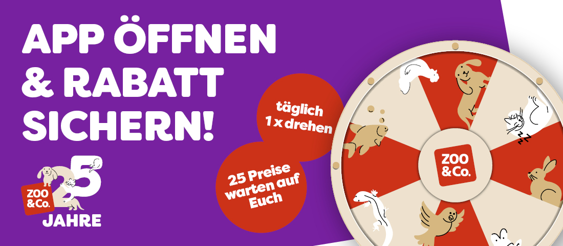 Entdecke das App Gewinnspiel!